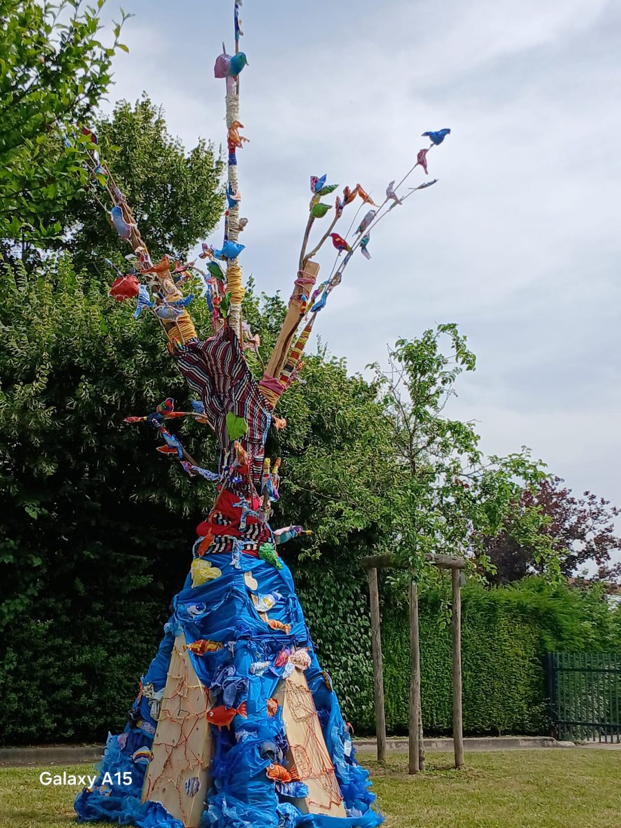 Et de la mer…naît l’arbre !